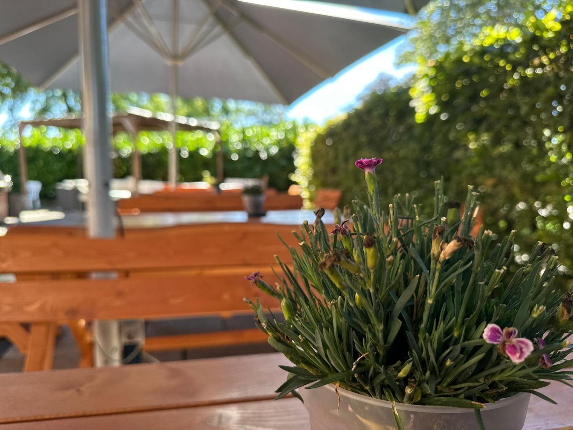 Hotel Schultheiss Hameln 哈默尔恩 外观 照片